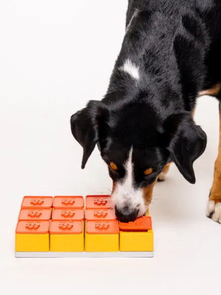 Jouet d’occupation pour chien – Treat Maze (Niveau 3) - Pawzler