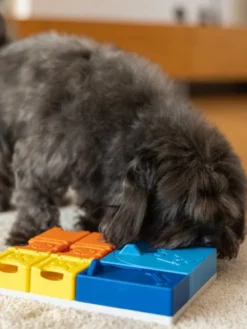 Jouet d’occupation pour chien – Kit Intermédiaire Rainbow (8 modules) - Pawzler