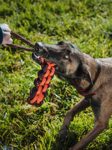 Jouet en corde pour chien - Novaball Twist - Pet PLAY
