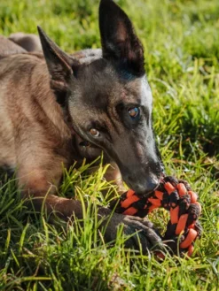 Jouet en corde pour chien - Novaball Ring - Pet PLAY