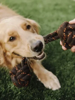 Jouet en corde pour chien - Scout & About Barbell L - Pet PLAY