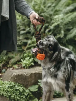 Jouet en corde pour chien - Tug Ball - Pet PLAY