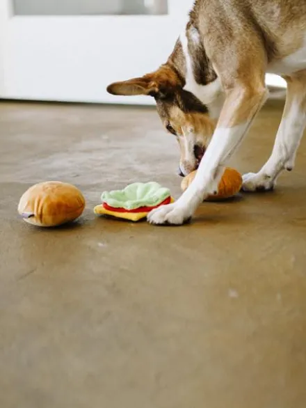 Jouet en peluche pour chien - American Classic - Hamburger