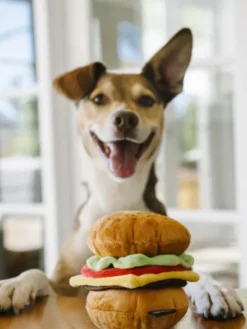 Jouet en peluche pour chien - American Classic - Hamburger
