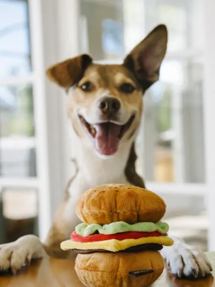 Jouet en peluche pour chien - American Classic - Hamburger