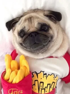 Jouet en peluche pour chien - American Classic - Frites