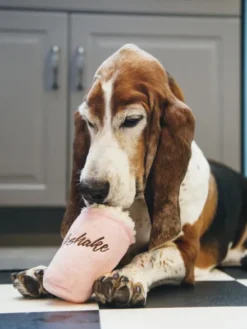 Jouet en peluche pour chien - American Classic - Milkshake