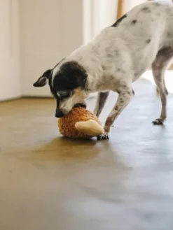 Jouet en peluche pour chien - American Classic - Poulet frit