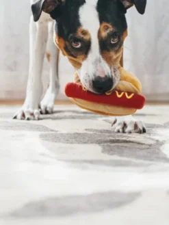 Jouet en peluche pour chien - American Classic - Hot dog