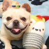 Jouet en peluche pour chien avec corde - Burrito 🌯 - HugSmart