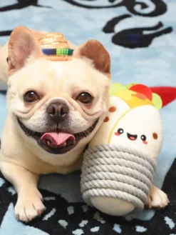 Jouet en peluche pour chien avec corde - Burrito 🌯 - HugSmart