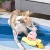 Jouet en peluche pour chien avec corde - Banana split 🍌🍨 - HugSmart