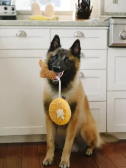 Jouet en peluche pour chien - Barking Brunch - Gaufre au poulet - Pet PLAY