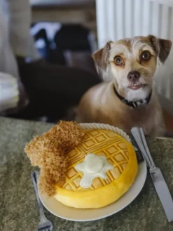Jouet en peluche pour chien - Barking Brunch - Gaufre au poulet - Pet PLAY