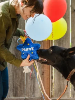 Jouet en peluche pour chien - Ballon d'anniversaire - Pet PLAY