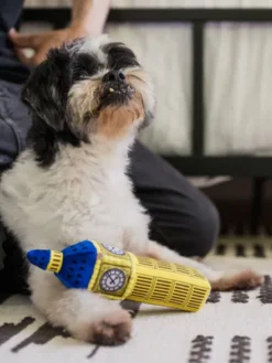Jouet en peluche pour chien - Big Ben 🫖 - Pet PLAY