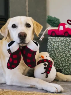 Jouet en peluche pour chien - Bonhomme de Neige ⛄ - Pet PLAY