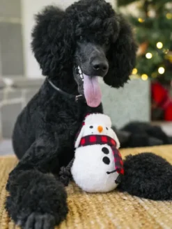 Jouet en peluche pour chien - Bonhomme de Neige ⛄ - Pet PLAY