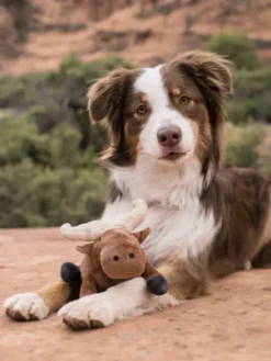 Jouet en peluche pour chien - Buffle 🐃 - Pet PLAY