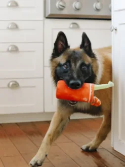 Jouet en peluche pour chien - Buddy Mary - Pet PLAY