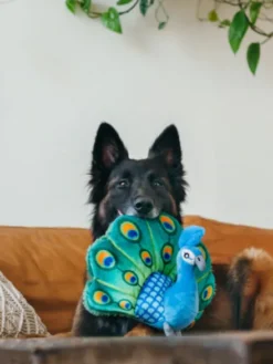 Jouet en peluche pour chien - Fetching Flock - Paon 🦚 - Pet PLAY