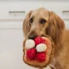 Jouet en peluche pour chien - French Toast - Pet PLAY x IHOP