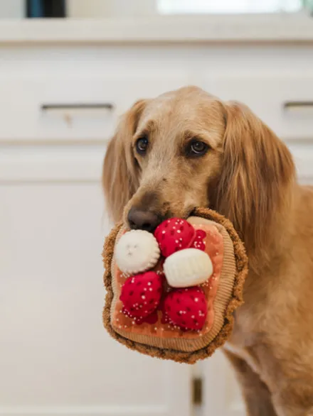 Jouet en peluche pour chien - French Toast - Pet PLAY x IHOP