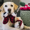 Jouet en peluche pour chien - Gants d'hiver 🧤 - Home for the Holidays Pet PLAY
