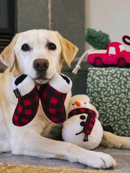 Jouet en peluche pour chien - Gants d'hiver 🧤 - Home for the Holidays Pet PLAY