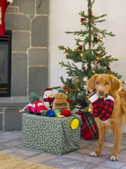 Jouet en peluche pour chien - Gants d'hiver 🧤 - Home for the Holidays Pet PLAY