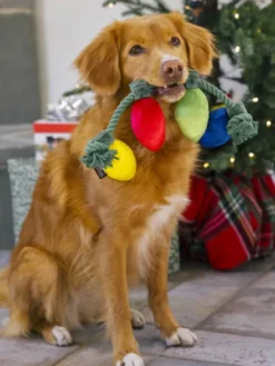 Jouet en peluche pour chien - Guirlande de Noël 🎄 - Pet PLAY
