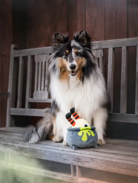 Jouet en peluche pour chien - Howling Haunts - Potion d'Halloween - Pet PLAY