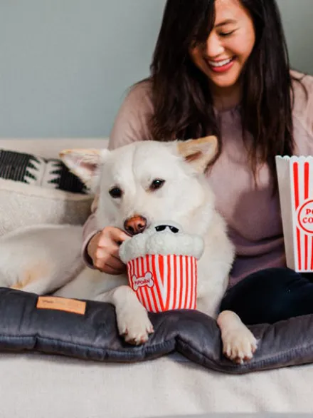 Jouet en peluche pour chien - Hollywoof Cinema - Poppin’ Pupcorn - Pet PLAY