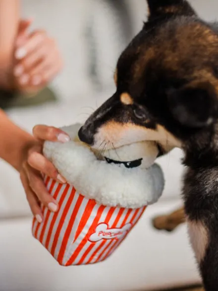 Jouet en peluche pour chien - Hollywoof Cinema - Poppin’ Pupcorn - Pet PLAY