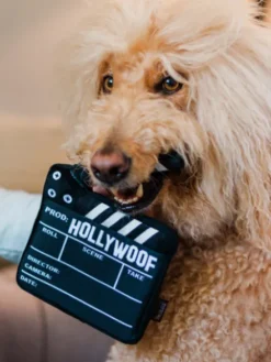 Jouet en peluche pour chien - Hollywoof Cinema - Clap de Cinéma - Pet PLAY