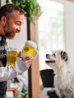 Jouet en peluche pour chien - Hollywoof Cinema - Bière - Pet PLAY