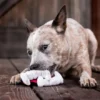 Jouet en peluche pour chien - Howling Haunts - Dents de Dracula 🧛 - Pet PLAY