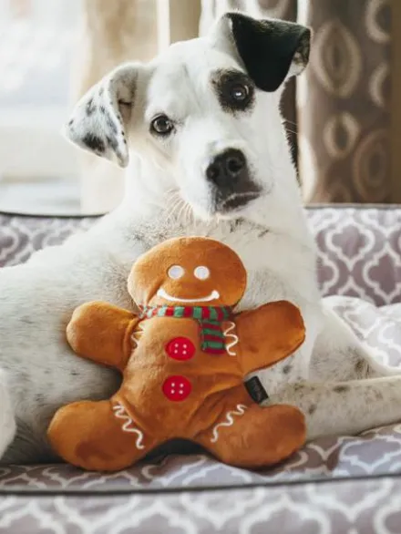 Jouet en peluche pour chien - Holiday Classic - Pain d'Epice - Pet PLAY