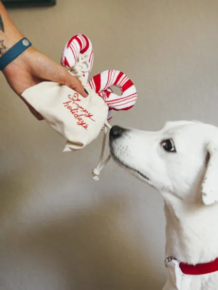 Jouet en peluche pour chien - Holiday Classic - 3 Sucres d'Orge - Pet PLAY