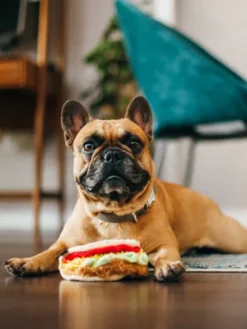 Jouet en peluche pour chien - International Classic - Tacos - Pet PLAY