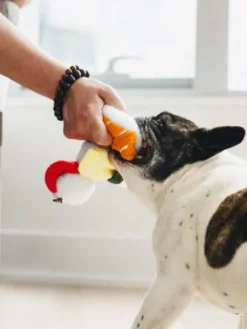 Jouet en peluche pour chien - International Classic - Sushi - Pet PLAY