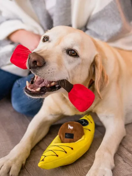 Jouet en peluche pour chien - K9 Kayak 🛶 - Pet PLAY