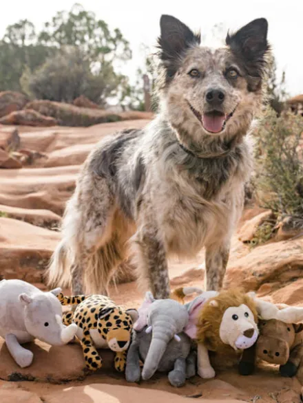 Jouet en peluche pour chien - Leopard 🐆 - Pet PLAY