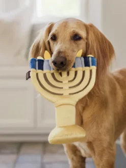Jouet en peluche pour chien - Paw-nukkah 🕎 Menorah - Pet PLAY
