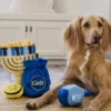 Jouet en peluche pour chien - Paw-nukkah 🕎 Gelt Coins - Pet PLAY
