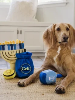 Jouet en peluche pour chien - Paw-nukkah 🕎 Gelt Coins - Pet PLAY