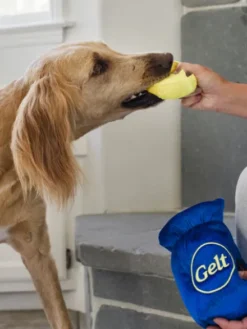 Jouet en peluche pour chien - Paw-nukkah 🕎 Gelt Coins - Pet PLAY
