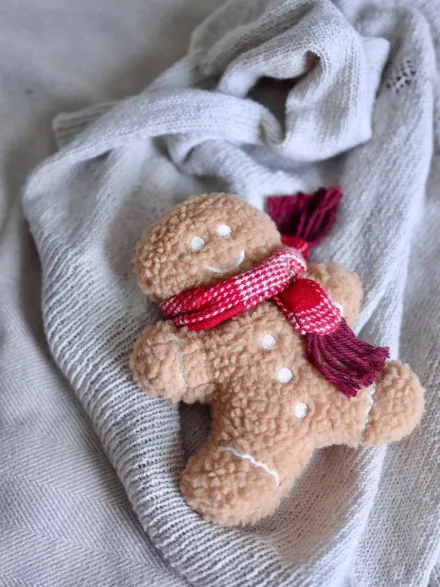 Jouet en peluche pour chien - Pain Epice 🎁 - Lambwolf Collective