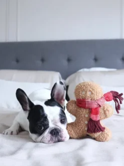 Jouet en peluche pour chien - Pain Epice 🎁 - Lambwolf Collective