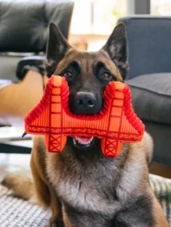 Jouet en peluche pour chien - Pont de San Francisco 🌉 - Pet PLAY